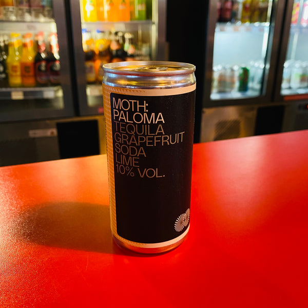 Moth - Paloma